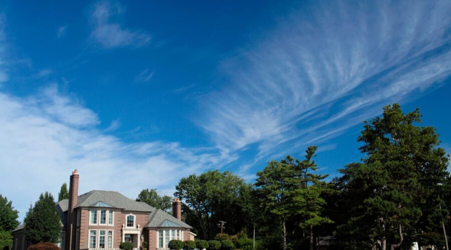 Jak syndyk sprawdza majątek